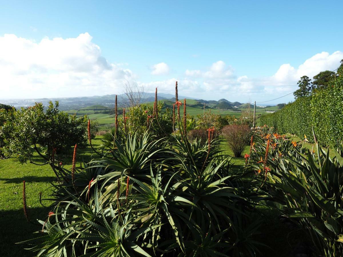 Villa Flor Do Monte ลาโกอา ภายนอก รูปภาพ